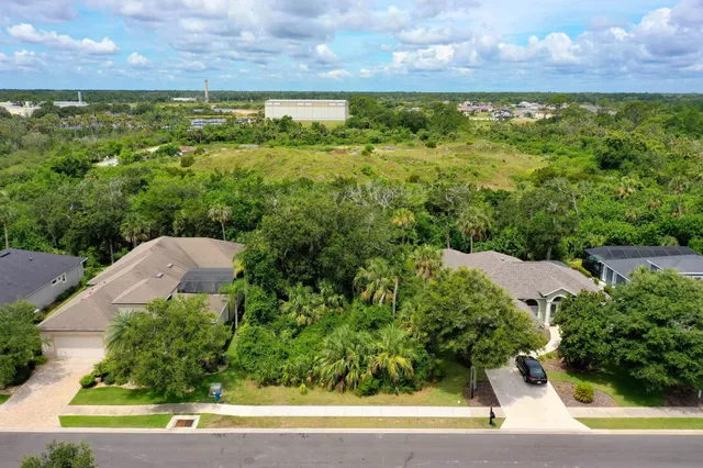 a view of a yard with potted plants