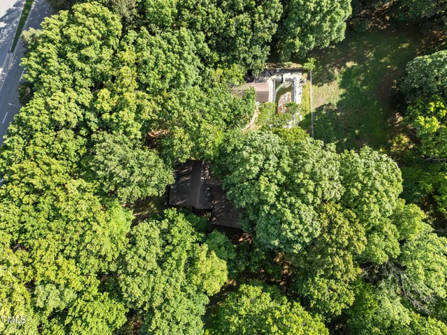 a view of a yard and a cars parked side of it