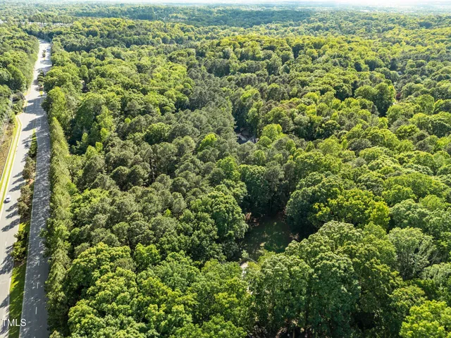 a view of a garden with flowers