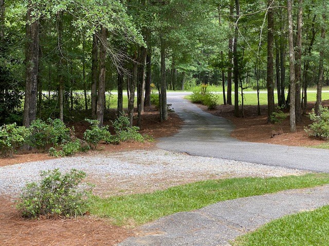 219 Hamilton Mulberry Grove Road Cataula, GA 31804 - Photo 18 of 23 DRIVEWAY