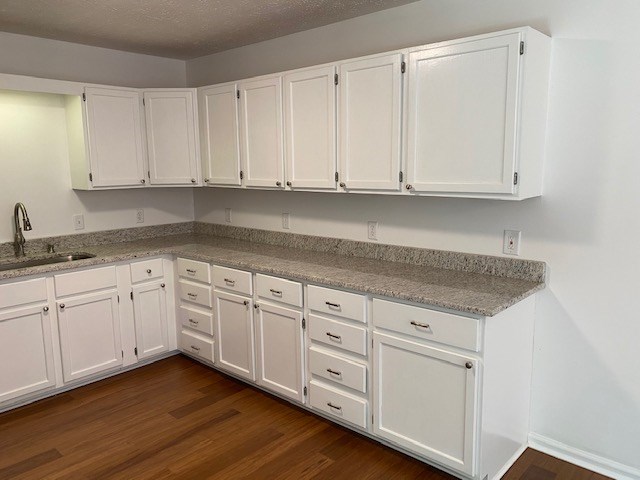 219 Hamilton Mulberry Grove Road Cataula, GA 31804 - Photo 5 of 23 ABUNDANT COUNTERSPACE