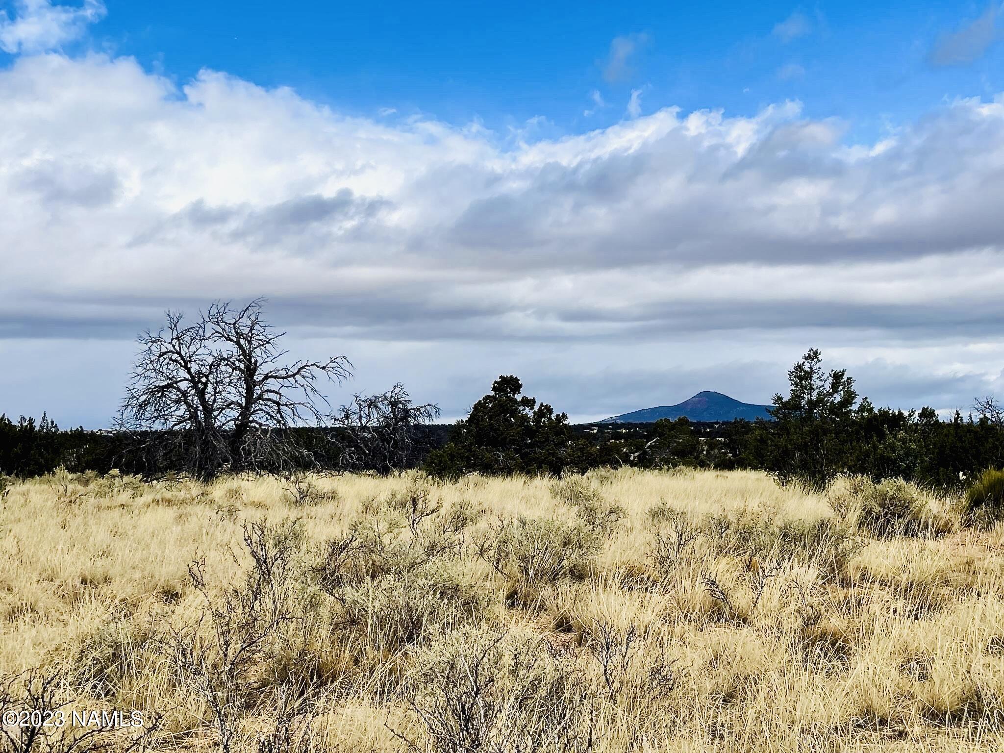 2307 East Woodland Ranch Road Williams, AZ 86046 - Photo 1 of 23 2307 E Woodland Ranch Rd