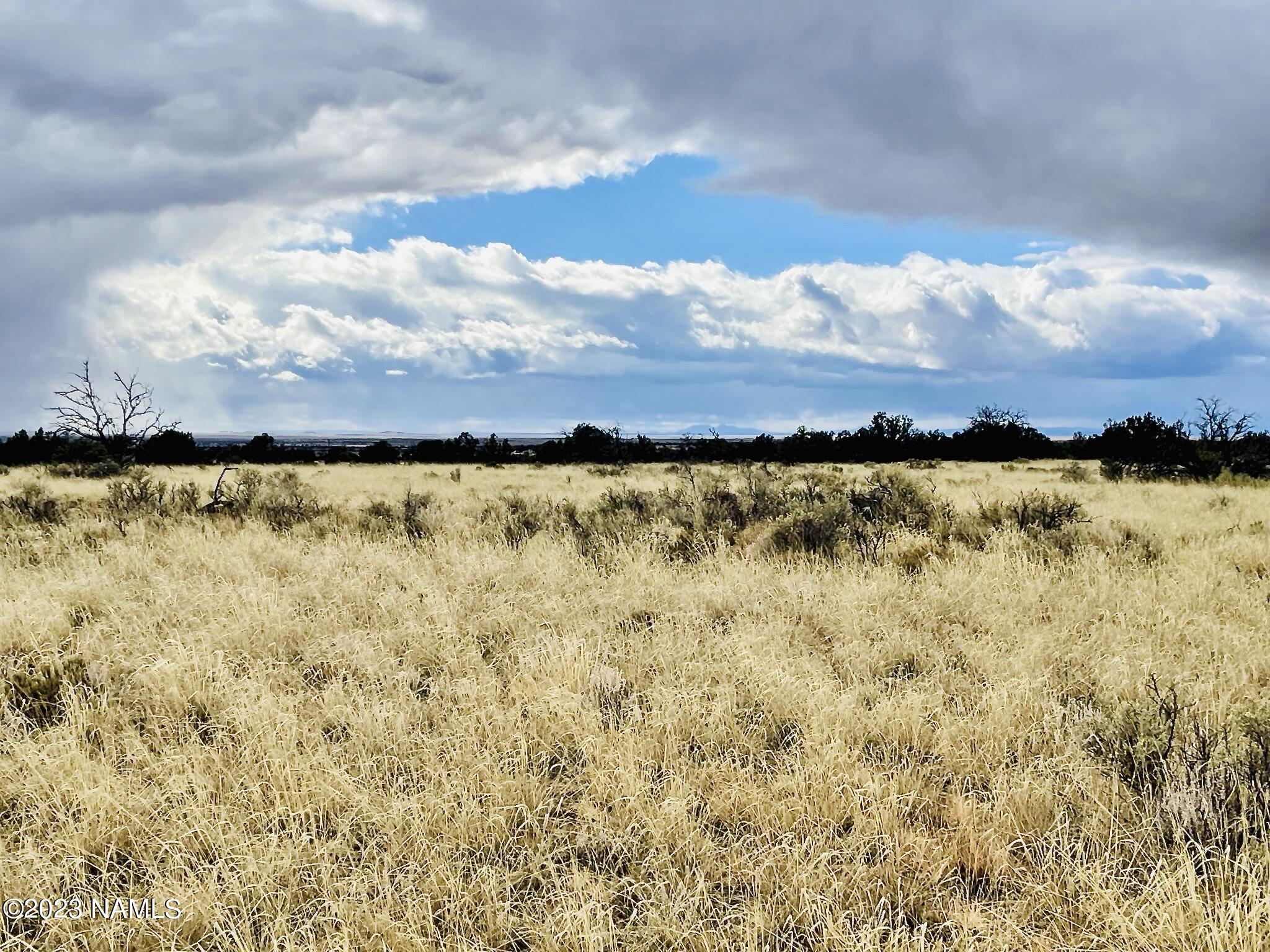 2307 East Woodland Ranch Road Williams, AZ 86046 - Photo 11 of 23 E Woodland Ranch Rd Photo 14