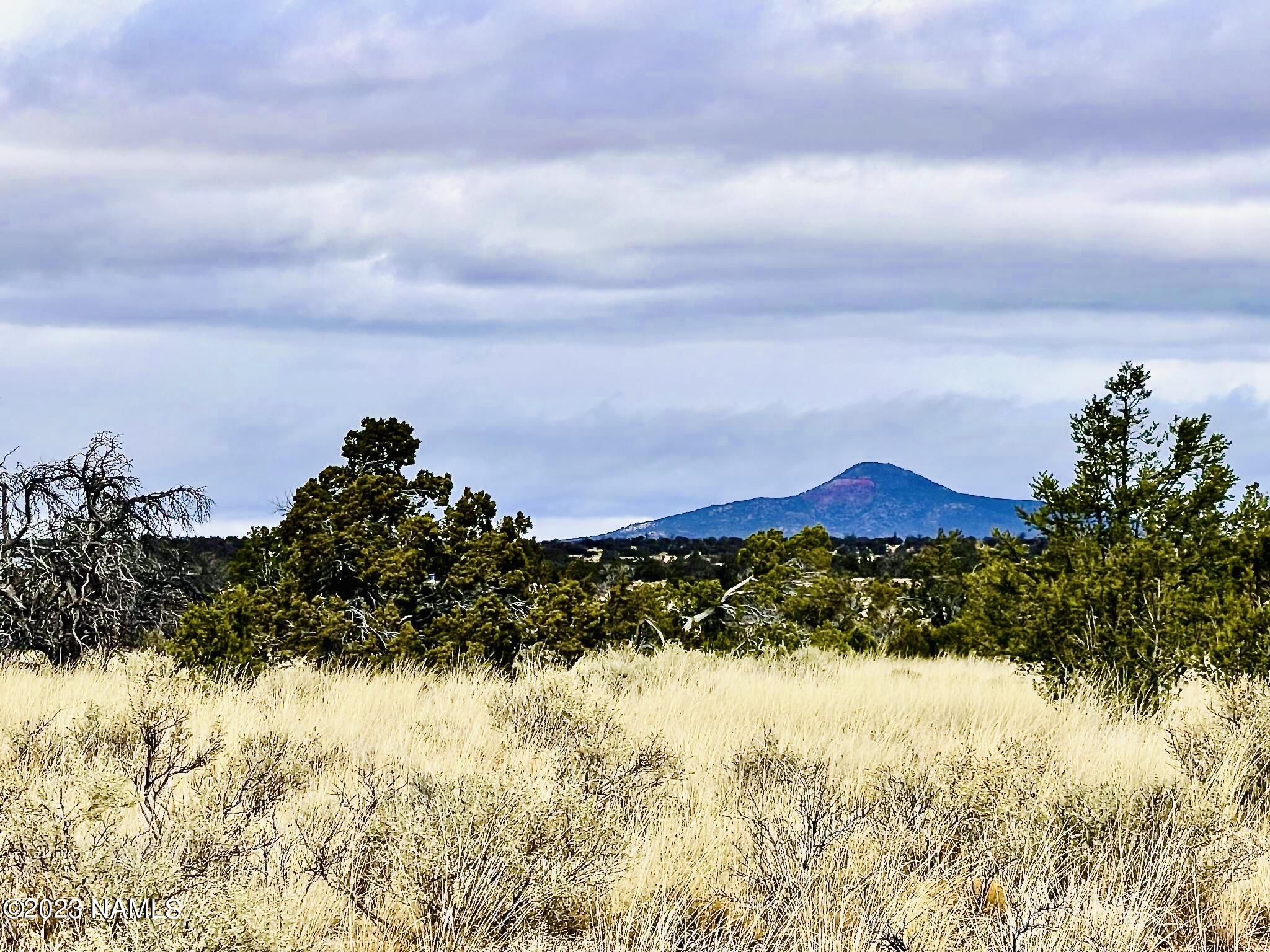 2307 East Woodland Ranch Road Williams, AZ 86046 - Photo 2 of 23 E Woodland Ranch Rd Photo 18
