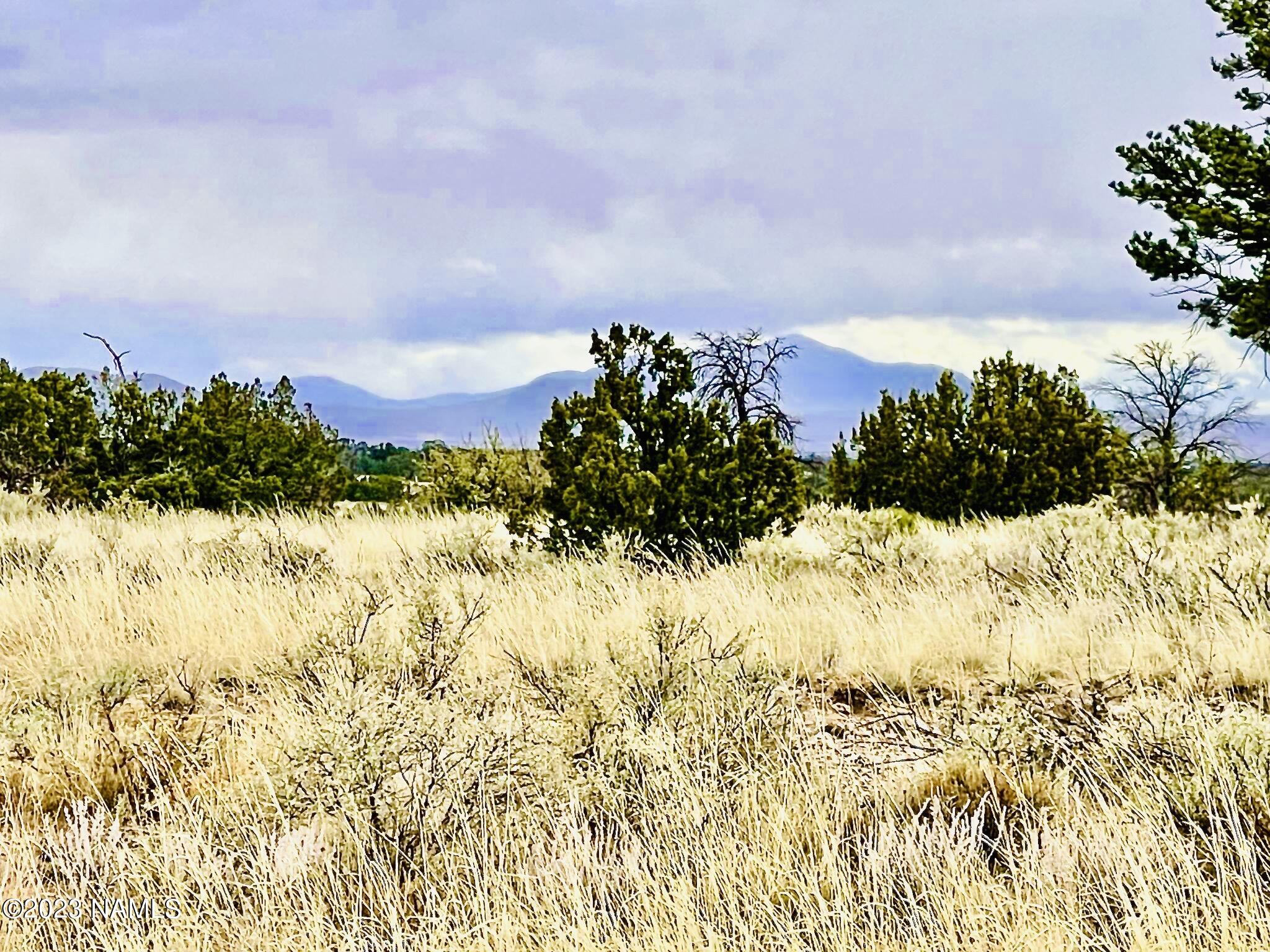 2307 East Woodland Ranch Road Williams, AZ 86046 - Photo 5 of 23 E Woodland Ranch Rd Photo 8