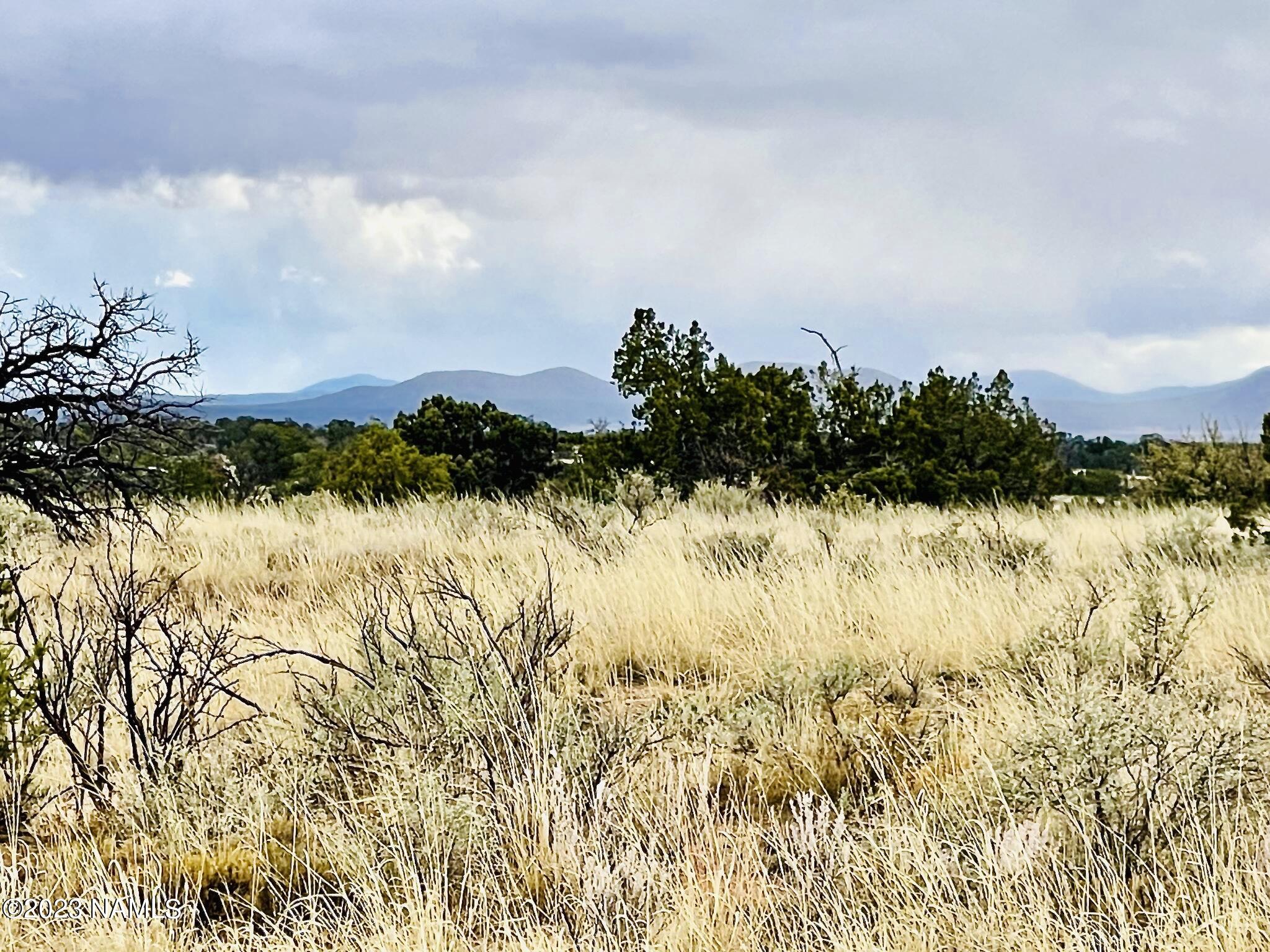 2307 East Woodland Ranch Road Williams, AZ 86046 - Photo 8 of 23 E Woodland Ranch Rd Photo 9