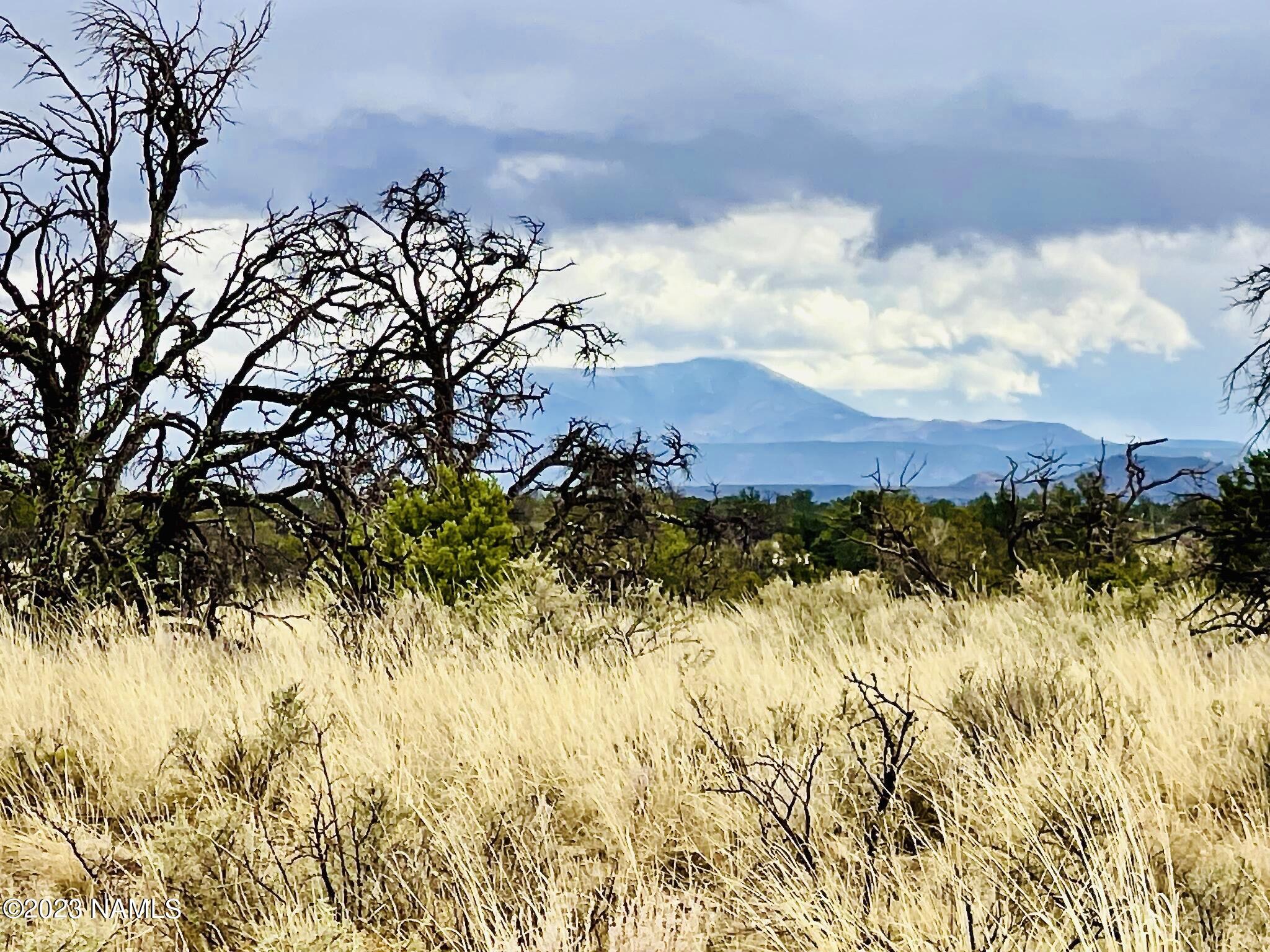 2307 East Woodland Ranch Road Williams, AZ 86046 - Photo 10 of 23 E Woodland Ranch Rd Photo 17