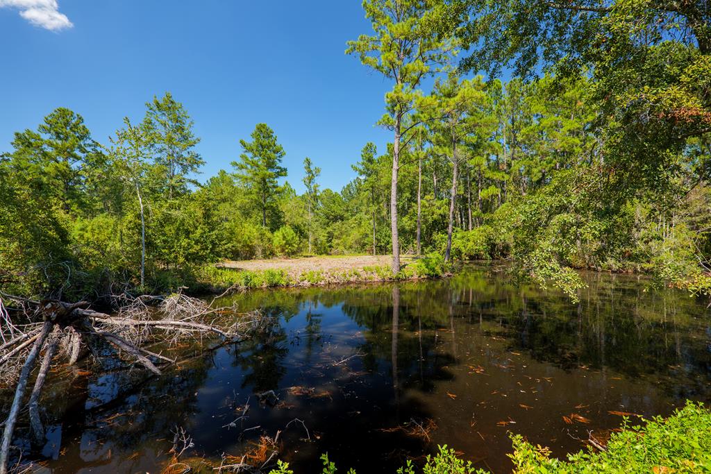 0 Union Road Hahira, GA 31632 - Photo 47 of 49 Gallery Image 47