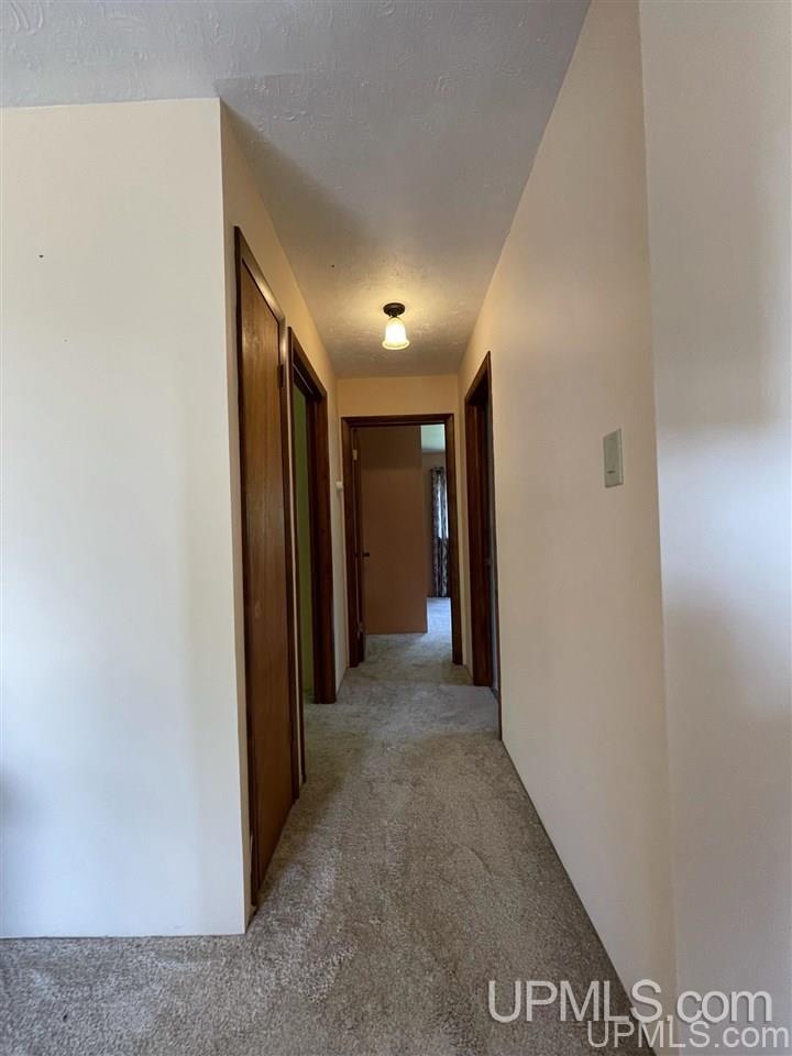 25367 Leo South Road Watton, MI 49970 - Photo 12 of 47 Gallery Image 12