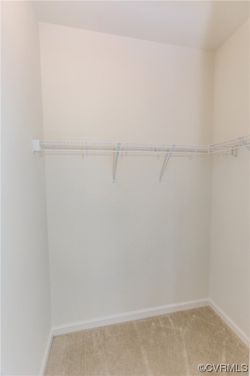 4119 Next Level Trace Midlothian, VA 23112 - Photo 28 of 50 a view of small space