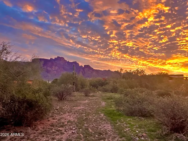 a view of a big yard