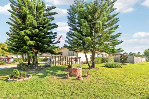 a view of a yard with plants and large trees