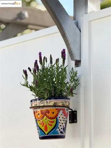 $749,000 | 1071 55th Street, Oakland, CA 94608