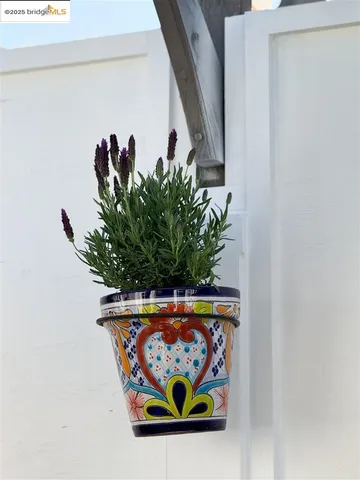 $749,000 | 1071 55th Street, Oakland, CA 94608