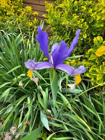 $349,000 | 6600 Springer Drive, Knoxville, TN 37918