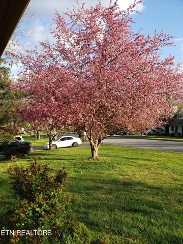 $349,000 | 6600 Springer Drive, Knoxville, TN 37918