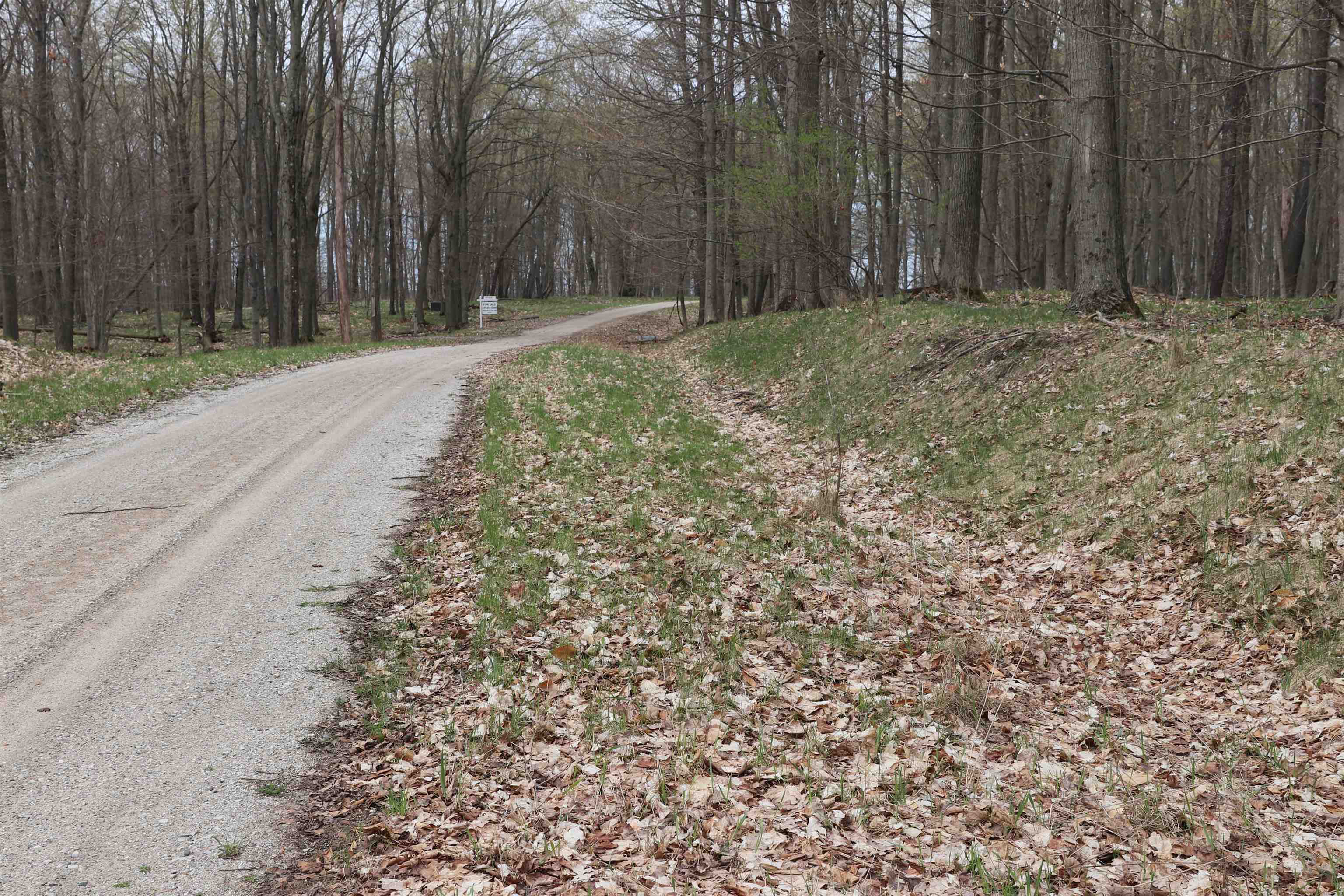 Lot 14 Crystal View Common Frankfort, MI 49635 - Photo 2 of 6