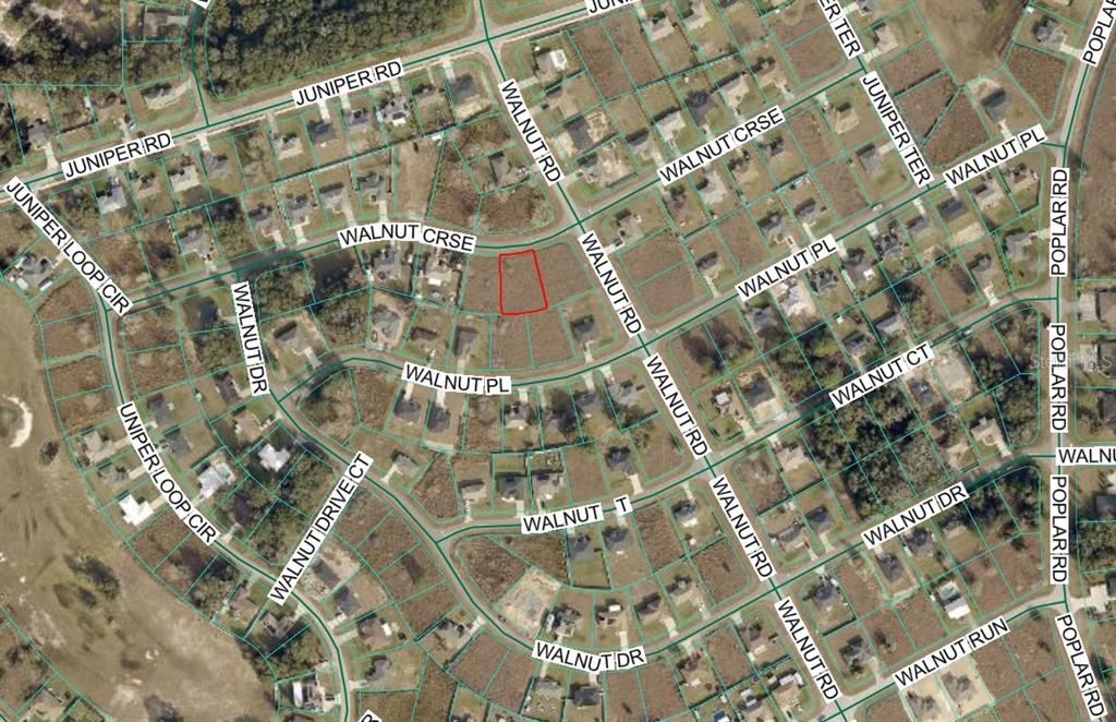 0 Walnut Drive Ocala, FL 34480 - Photo 2 of 4