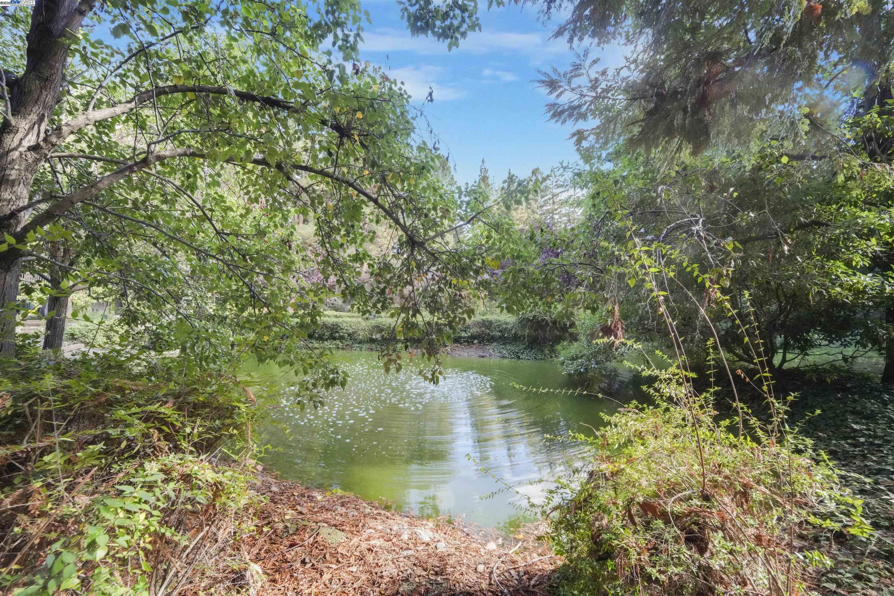 505 Cypress Point Drive, Unit 140 Mountain View, CA 94043 - Photo 53 of 60 a view of a lake view with a garden