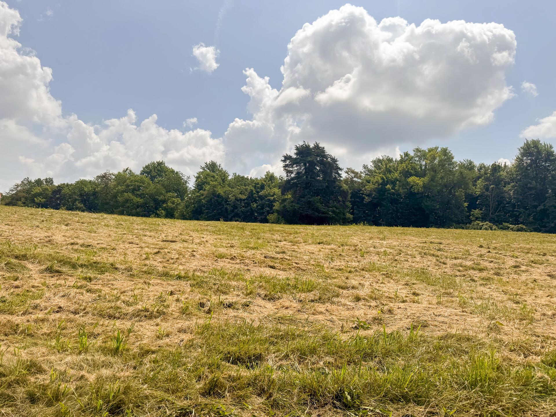 272 Golf Course Road, Unit TRACT 8 SKYLINEACRES) Waverly, OH 45690 - Photo 17 of 40 CT-17