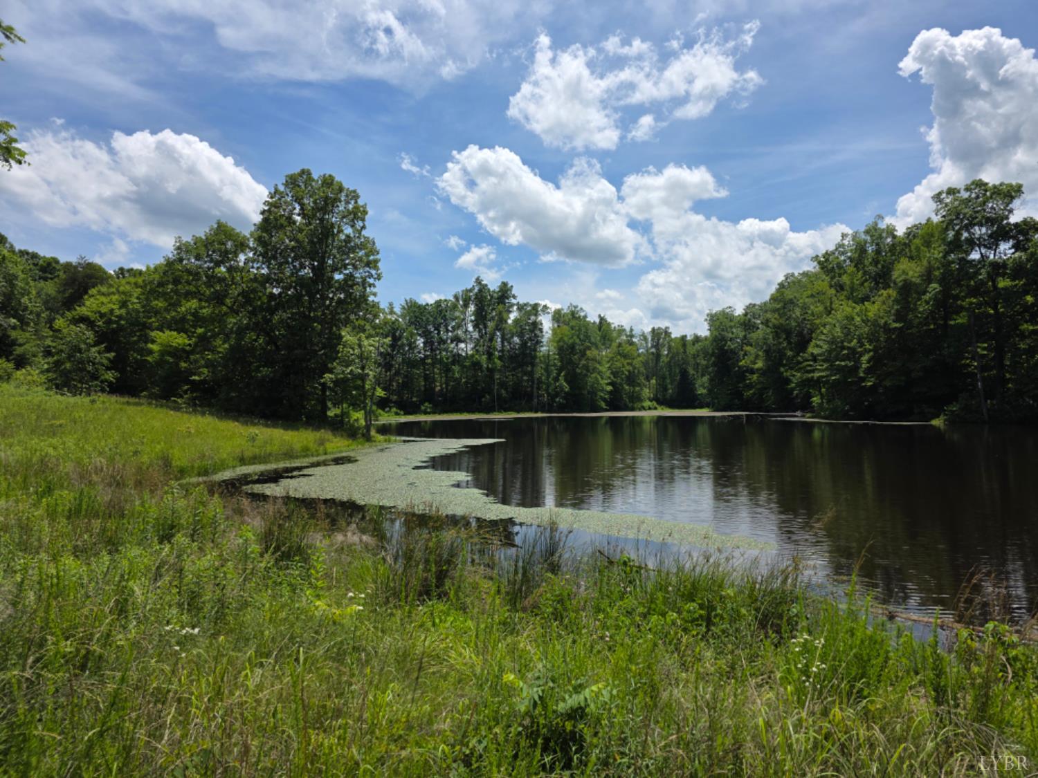 1239 Morris Creek Road Cullen, VA 23934 - Photo 1 of 6