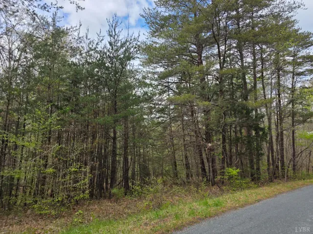 $120,700 | 1239 Morris Creek Road, Cullen, VA 23934