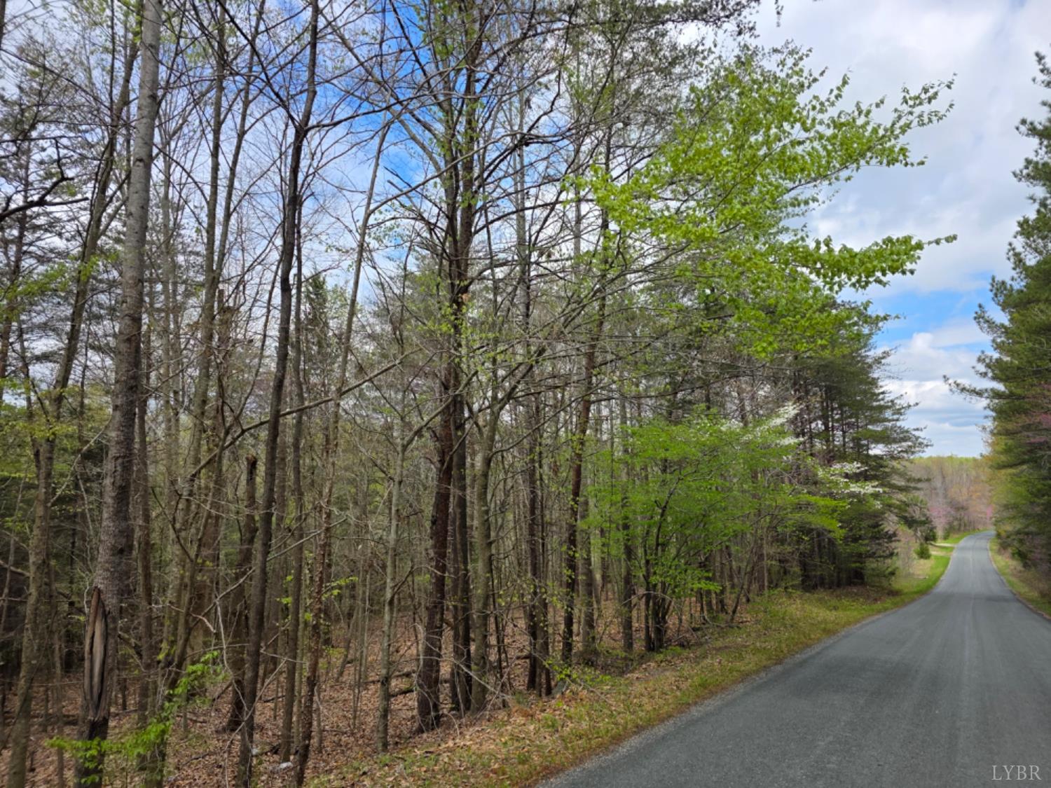 1239 Morris Creek Road Cullen, VA 23934 - Photo 4 of 6