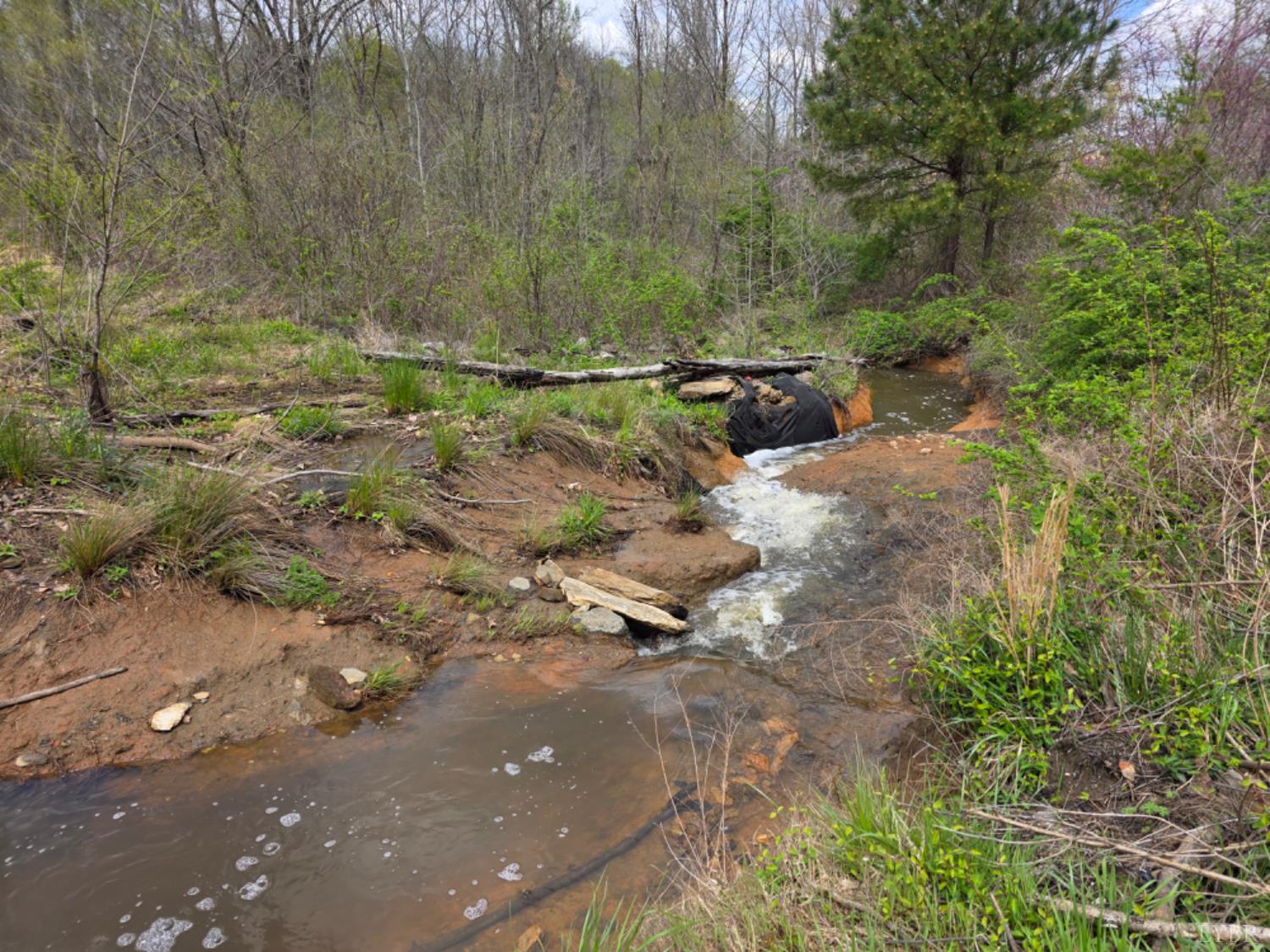 1239 Morris Creek Road Cullen, VA 23934 - Photo 6 of 6