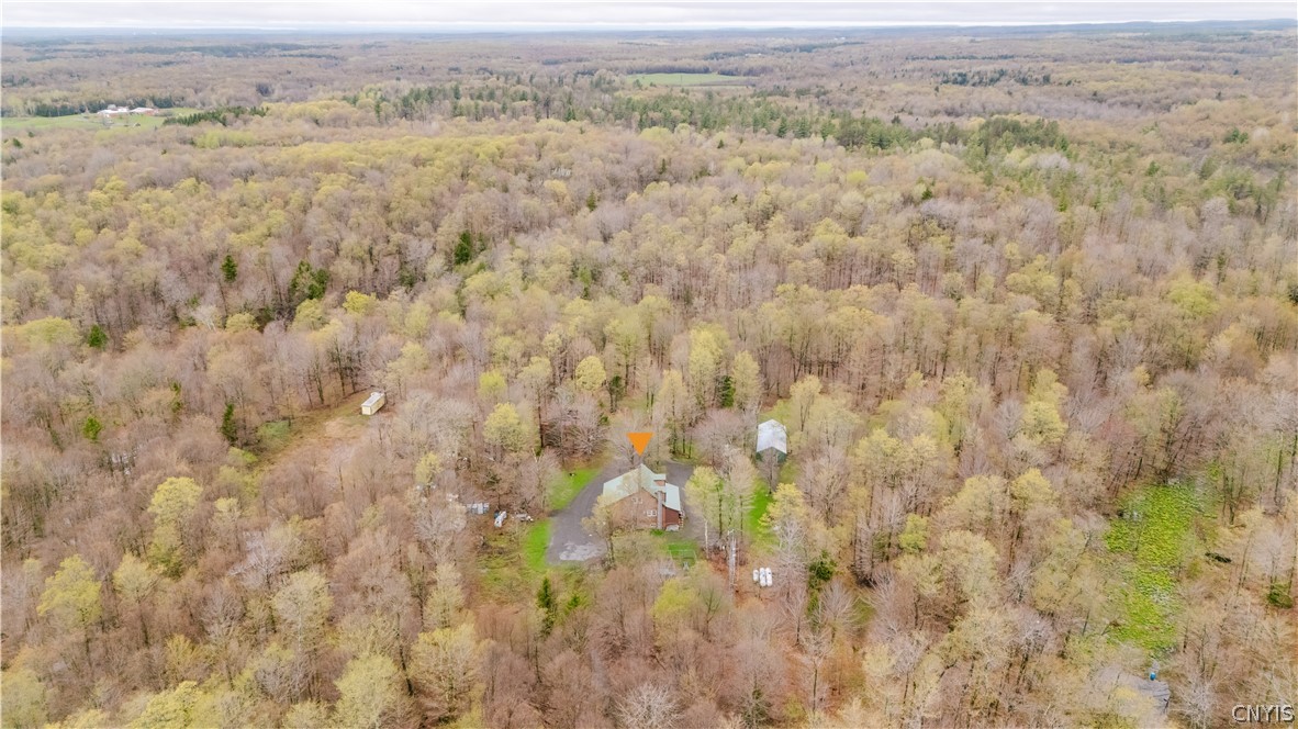 3642 Van Brocklin Road Worth, NY 13659 - Photo 44 of 47