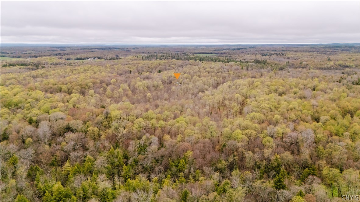 3642 Van Brocklin Road Worth, NY 13659 - Photo 47 of 47