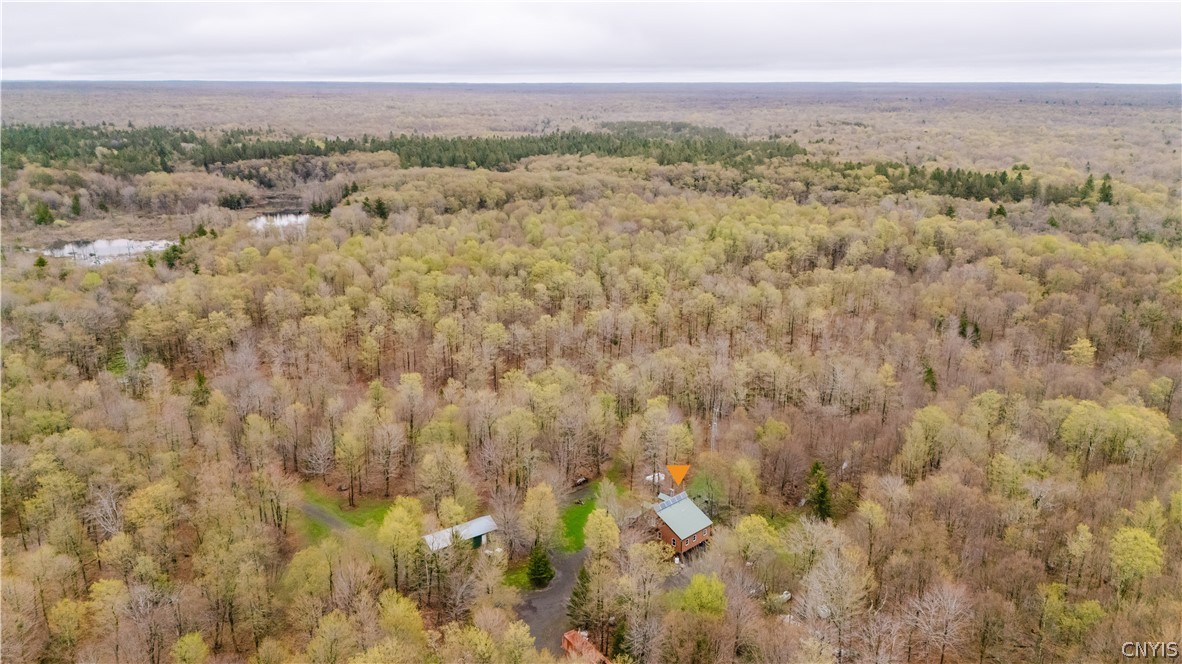 3642 Van Brocklin Road Worth, NY 13659 - Photo 10 of 47