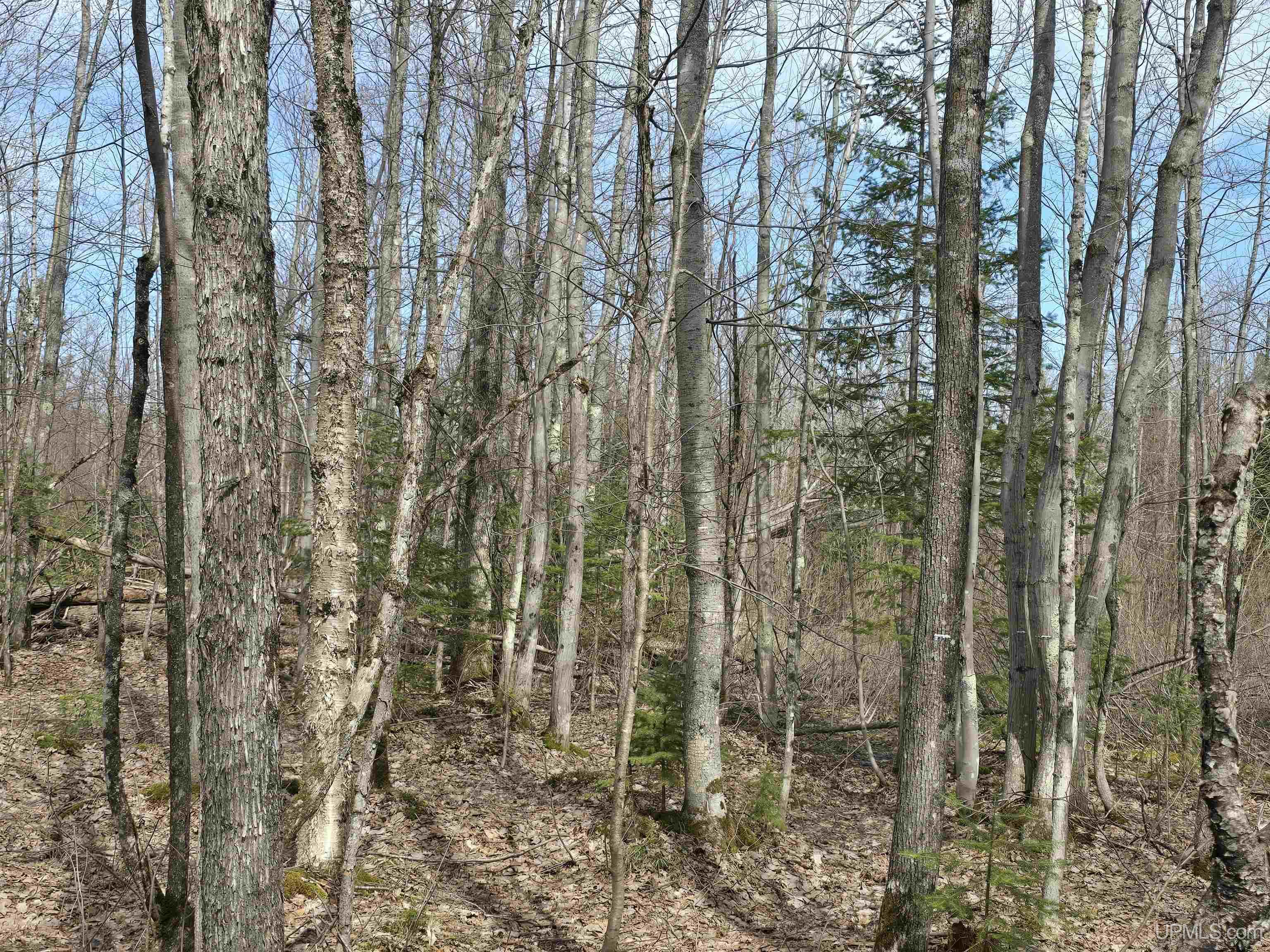 Tbd Woodspur Road Ontonagon, MI 49953 - Photo 36 of 46