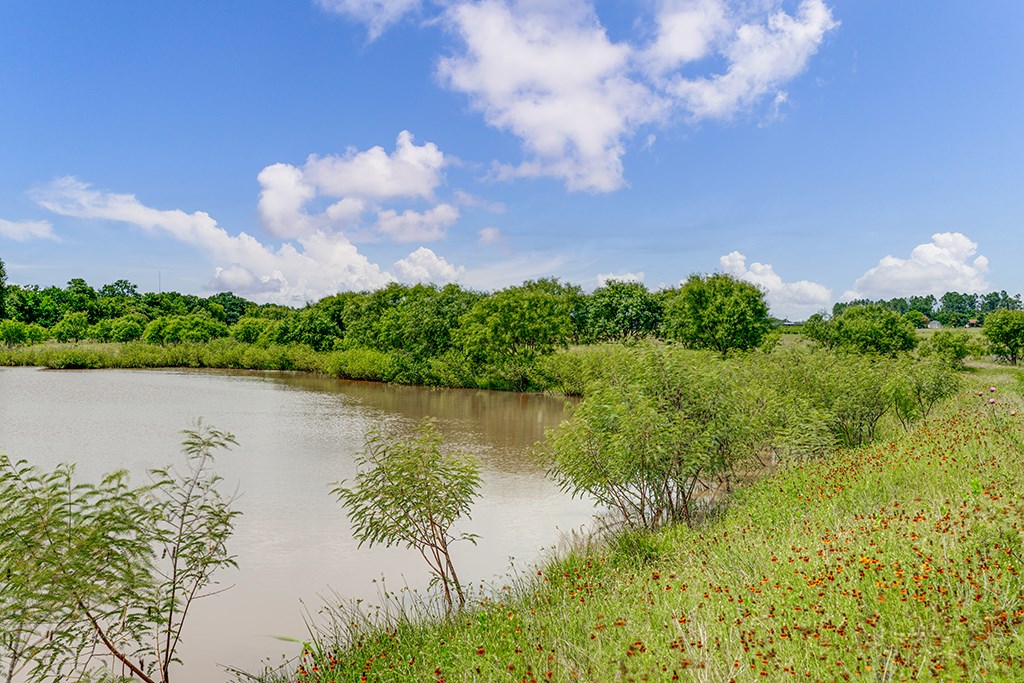 646 Victor Eckhardt Road Fredericksburg, TX 78624 - Photo 41 of 60