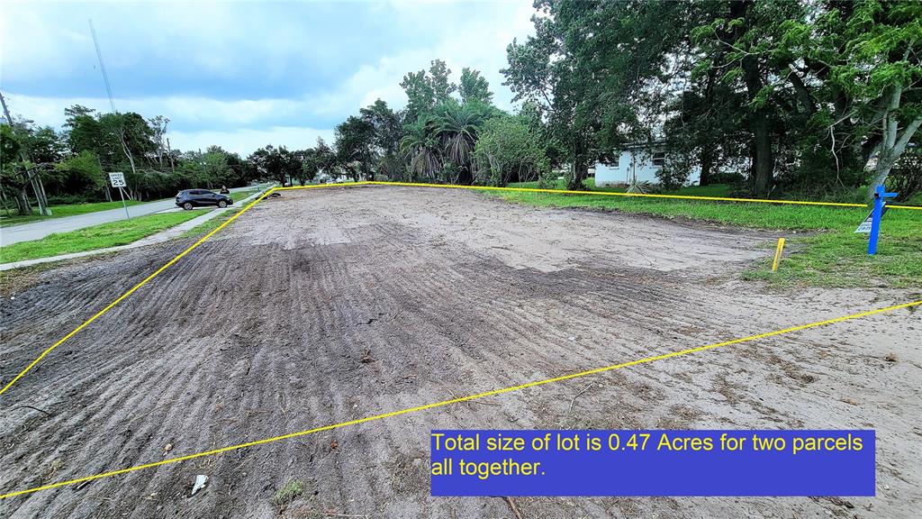 a view of a park with large trees