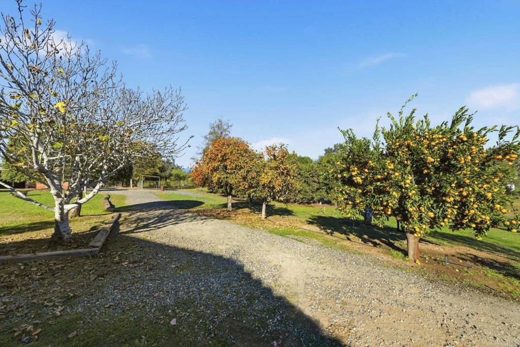 13638 West Oak Glen Road Valley Center, CA 92082 - Photo 27 of 30 a view of a park with large trees