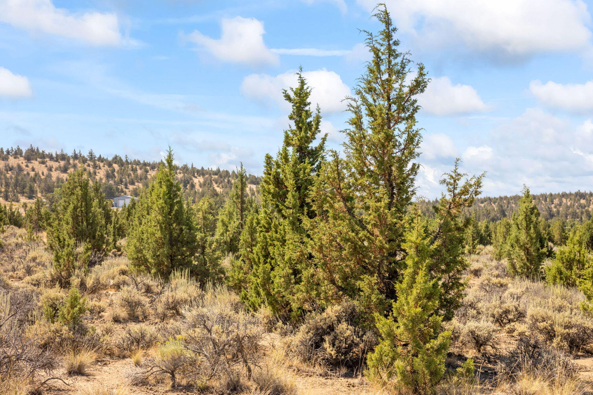 600 Southeast Tacoma Road Prineville, OR 97754 - Photo 8 of 38 8-web-or-mls-07