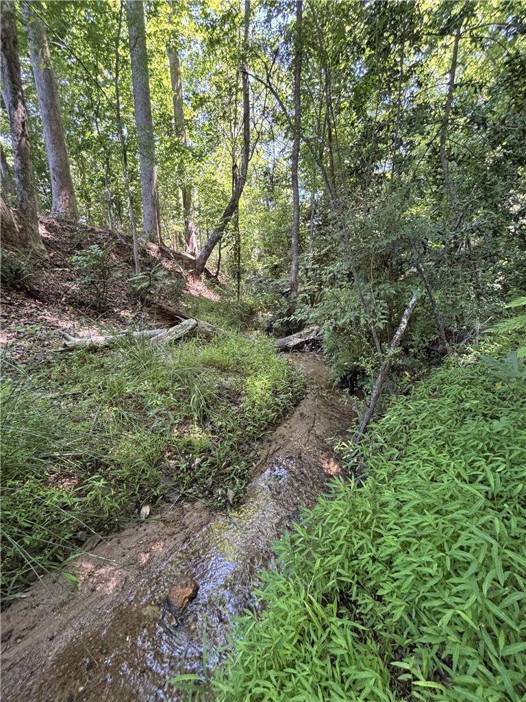 430 Johnson Road Central, SC 29630 - Photo 34 of 36 A tranquil stream meanders through a naturally wooded landscape, offering serene natural beauty.