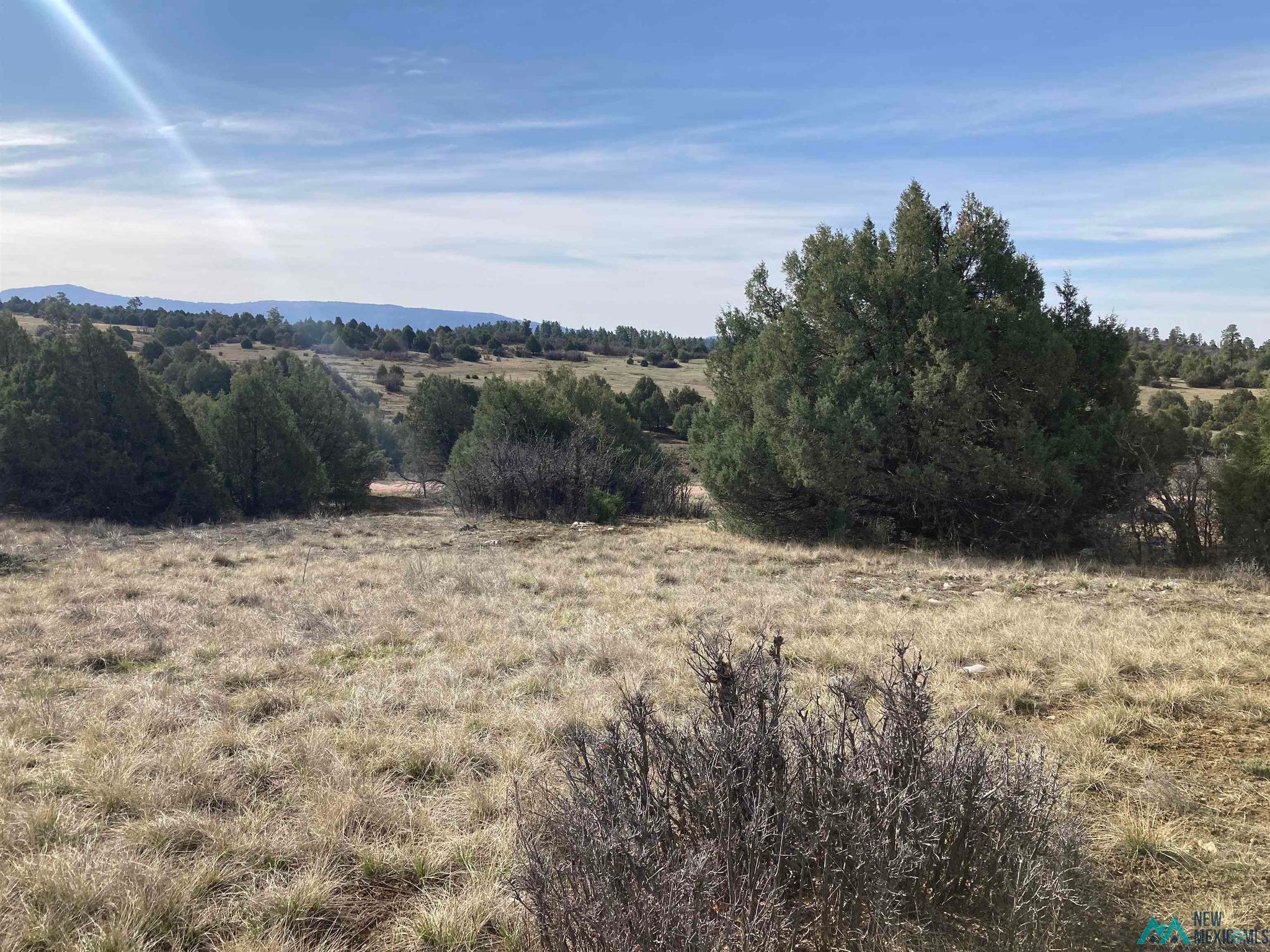 1 Cr 341 Road Chama, NM 87520 - Photo 10 of 17 Gallery Image 10