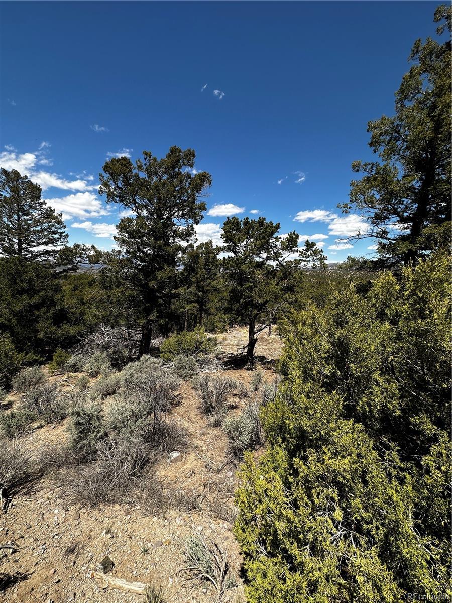 4997 Rio Road Fort Garland, CO 81133 - Photo 12 of 13 Gallery Image 12