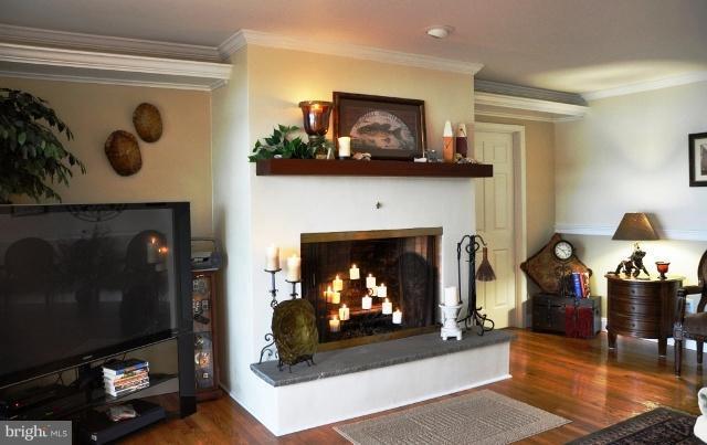 1609 Perseus Road Cambridge, MD 21613 - Photo 13 of 22 Fireplace