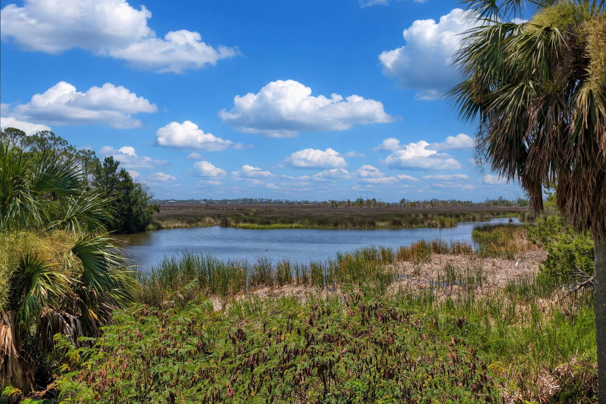 20185 Beach Road Perry, FL 32348 - Photo 2 of 27