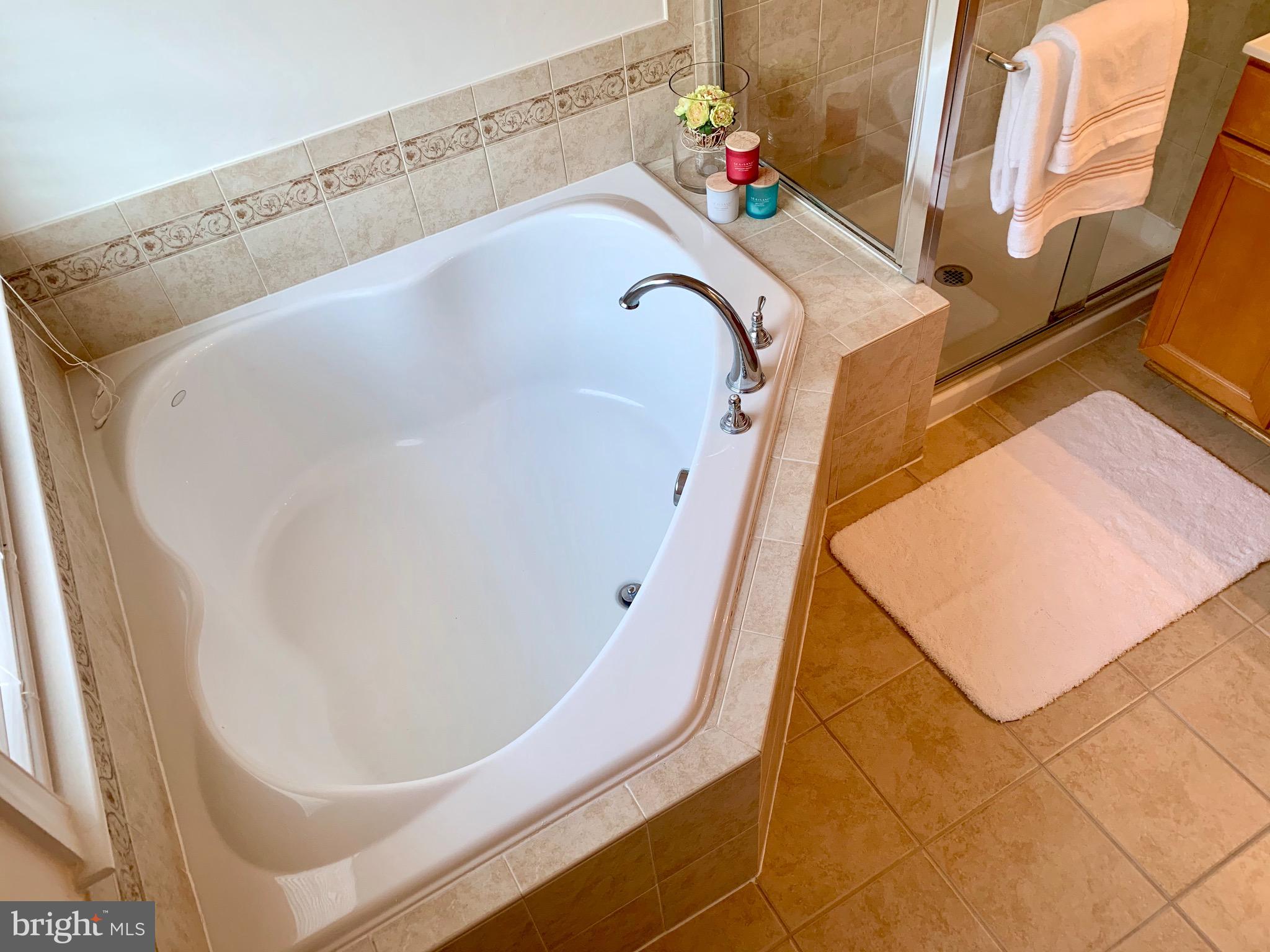 9197 Furey Road Lorton, VA 22079 - Photo 32 of 61 Master Bath