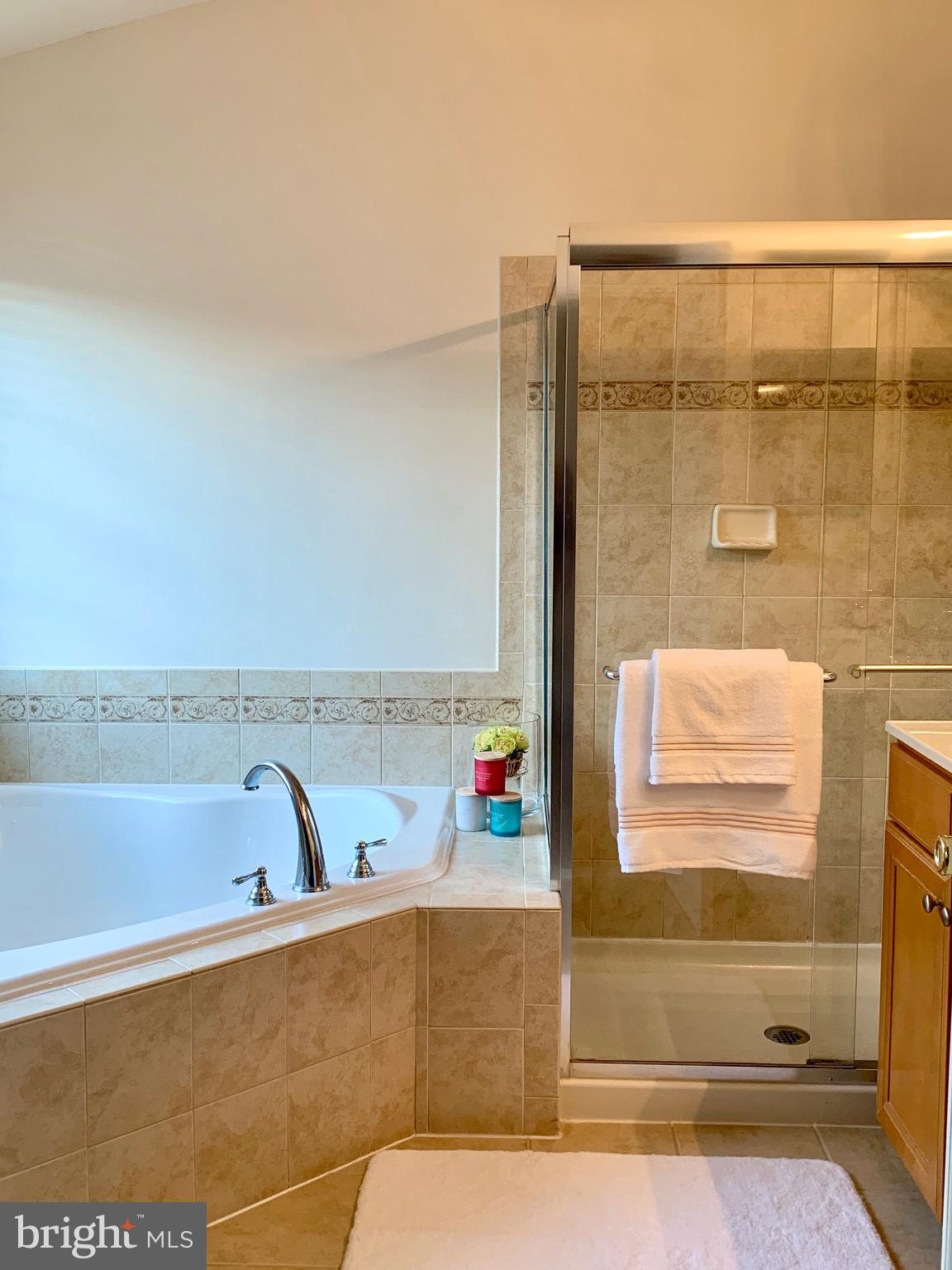 9197 Furey Road Lorton, VA 22079 - Photo 33 of 61 Master Bath