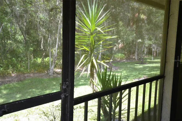 a view of lake from a window