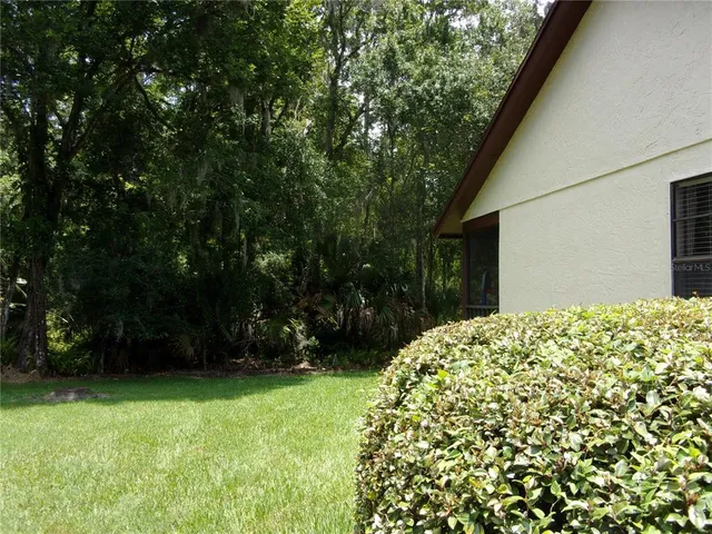 a view of a backyard with plants and large trees