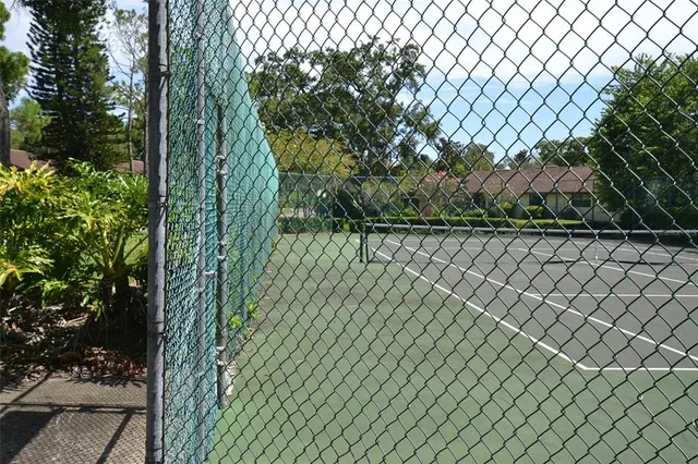 a view of a yard with plants