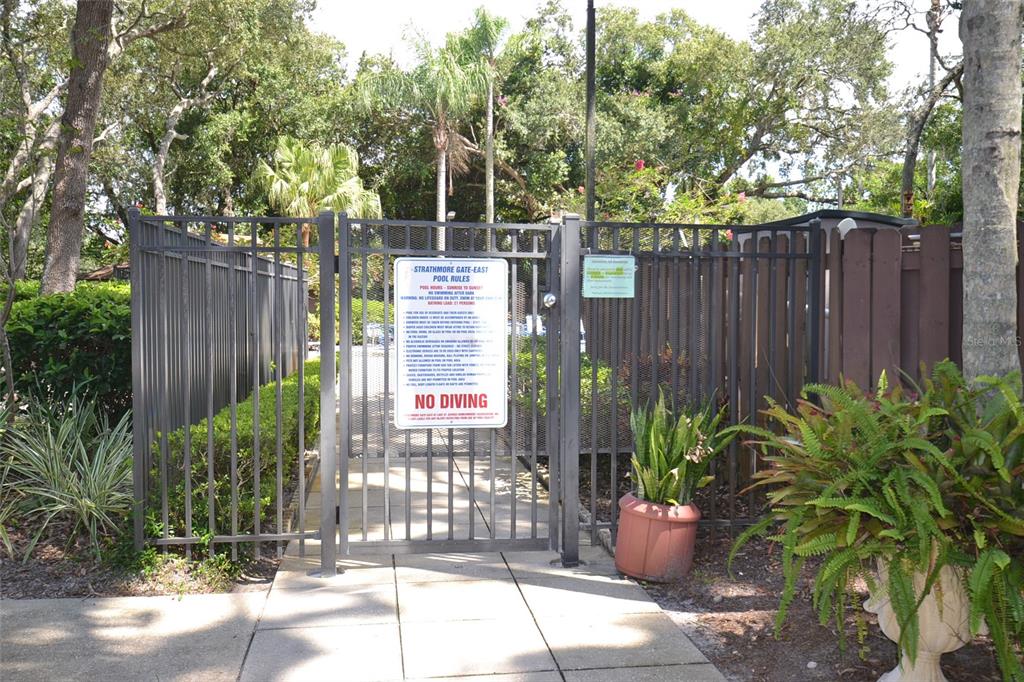 2949 Buttonbush Court Palm Harbor, FL 34684 - Photo 33 of 34 a house view with a garden space
