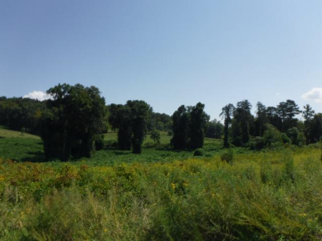 6 16 Ac Jared Road Sparta, TN 38583 - Photo 11 of 17 Gallery Image 11
