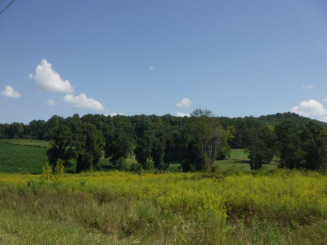 6 16 Ac Jared Road Sparta, TN 38583 - Photo 6 of 17 Gallery Image 6
