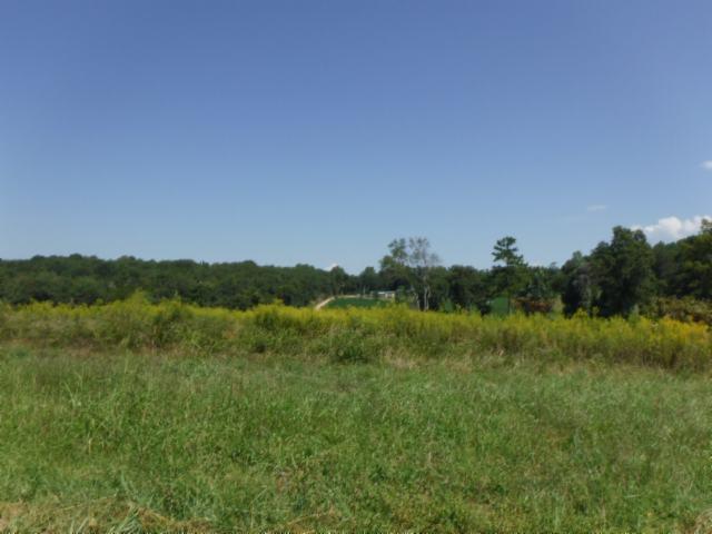 6 16 Ac Jared Road Sparta, TN 38583 - Photo 8 of 17 Gallery Image 8